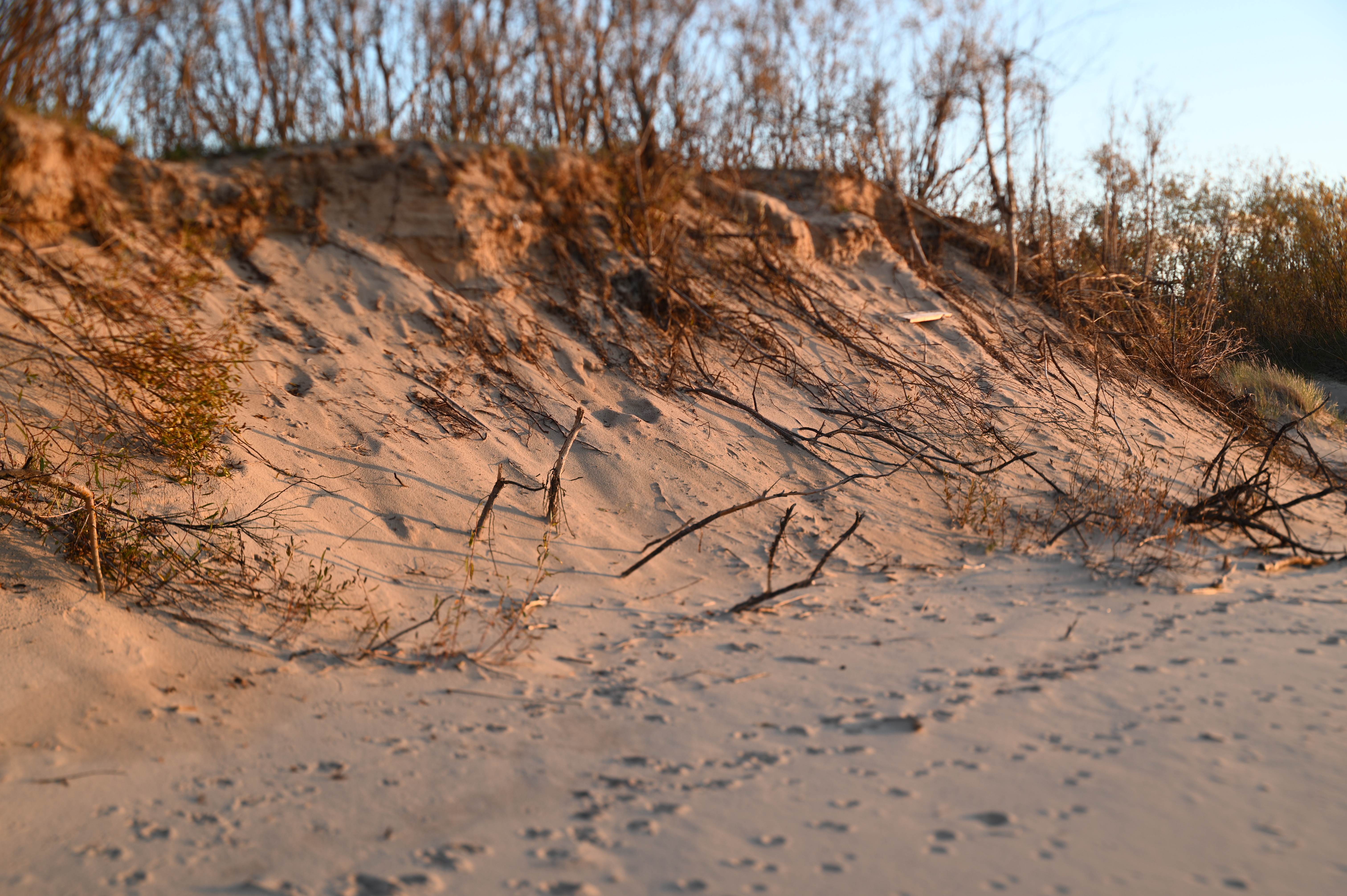 2025/10/18 - walk/DSC_0336.JPG